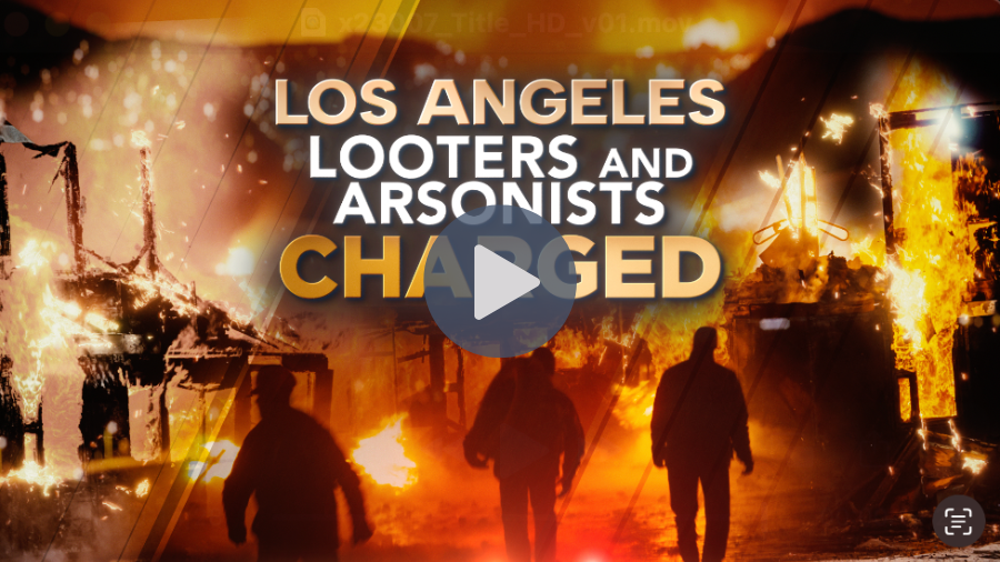 Los Angeles Looters & Arsonists Charged